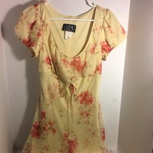 Sheer Vintage ruffle bottom yellow dress